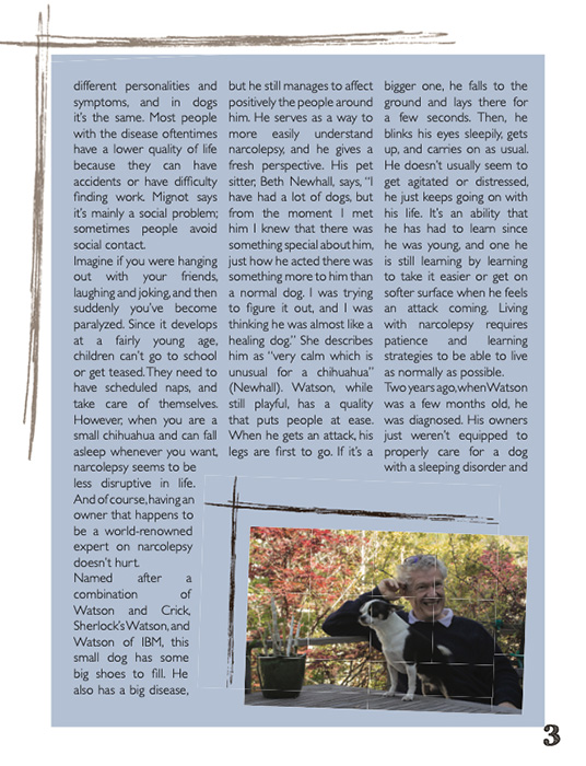 Article by Lara Darling
